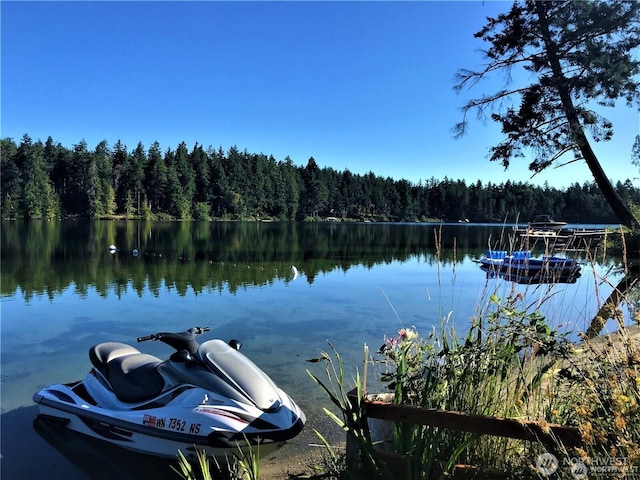 10014 Edgewood Dr, Anderson Island, WA 98303