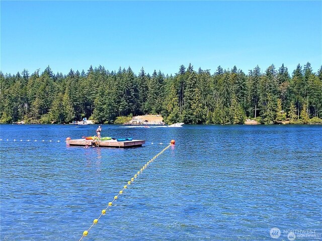 10014 Edgewood Dr, Anderson Island, WA 98303