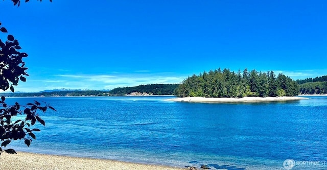 10014 Edgewood Dr, Anderson Island, WA 98303