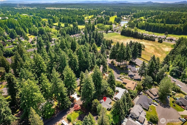 5505 Windemere Dr SE, Olympia, WA 98501 - aerial view of a forest and mountains