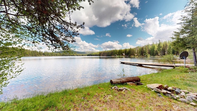 90B Moore Dr, Riverside, WA 98849 - water view featuring a forest and a dock