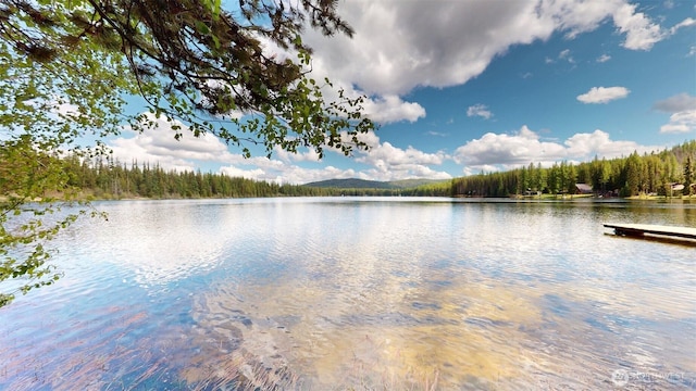 90B Moore Dr, Riverside, WA 98849 - water view with a heavily wooded area