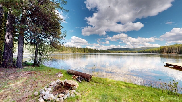 90B Moore Dr, Riverside, WA 98849 - water view with a forest