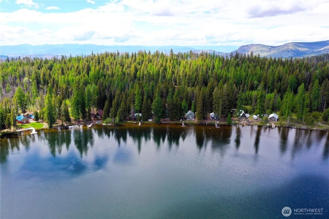 90B Moore Dr, Riverside, WA 98849 - water view with a heavily wooded area and mountains