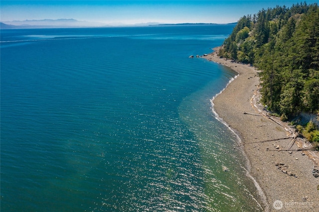 64 Eliza Is, Bellingham, WA 98226 - drone / aerial view of a large body of water