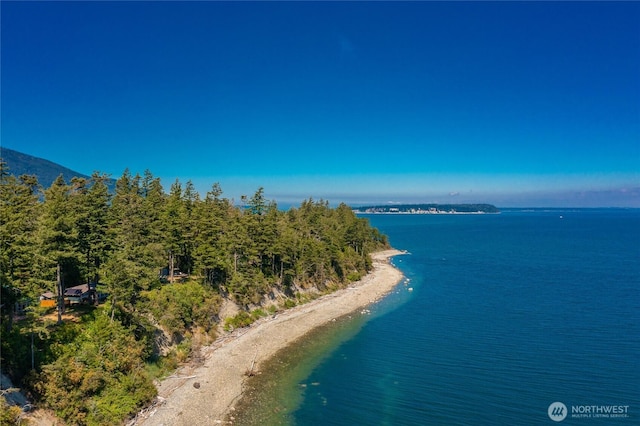 64 Eliza Is, Bellingham, WA 98226 - drone / aerial view of a large body of water