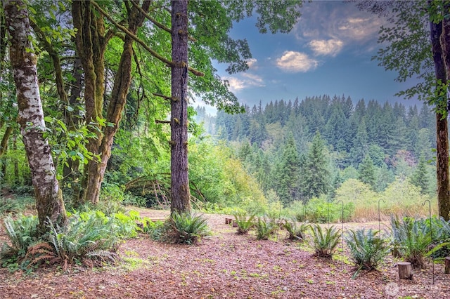 140 Leland Rd, Longview, WA 98632 - view of wooded area