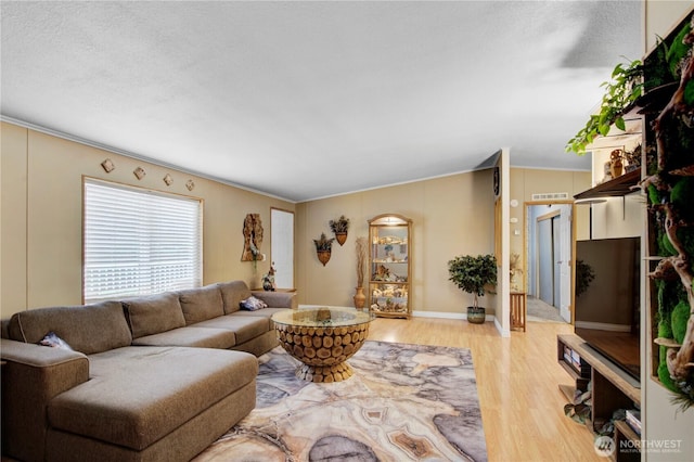 140 Leland Rd, Longview, WA 98632 - living area featuring light wood finished floors, crown molding, and a textured ceiling