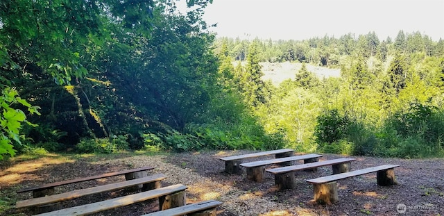 140 Leland Rd, Longview, WA 98632 - view of community featuring a forest view