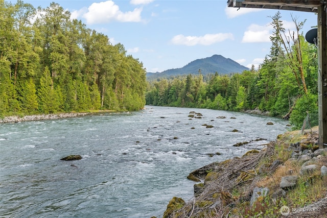 25921 Clear Creek Rd, Darrington, WA 98241 - water view featuring a forest and mountains