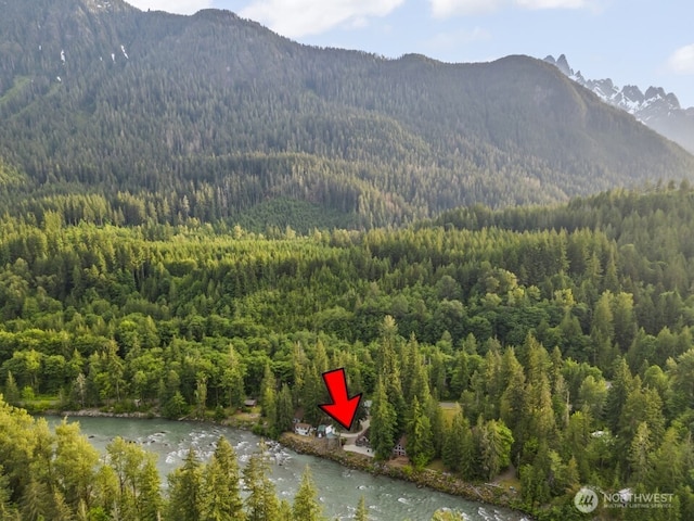 25921 Clear Creek Rd, Darrington, WA 98241 - view of mountain backdrop with a heavily wooded area and a large body of water