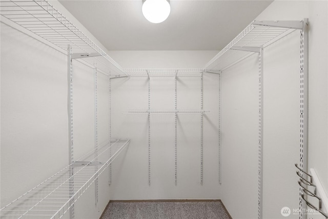 502 NW Alexander Ct, Orting, WA 98360 - spacious closet featuring carpet flooring