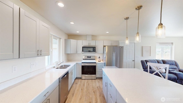 212 Hubbard Rd, Riverside, WA 98849 - kitchen featuring appliances with stainless steel finishes, open floor plan, light countertops, light wood-style floors, and a sink