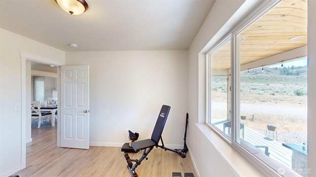 212 Hubbard Rd, Riverside, WA 98849 - exercise area with light wood-type flooring and baseboards