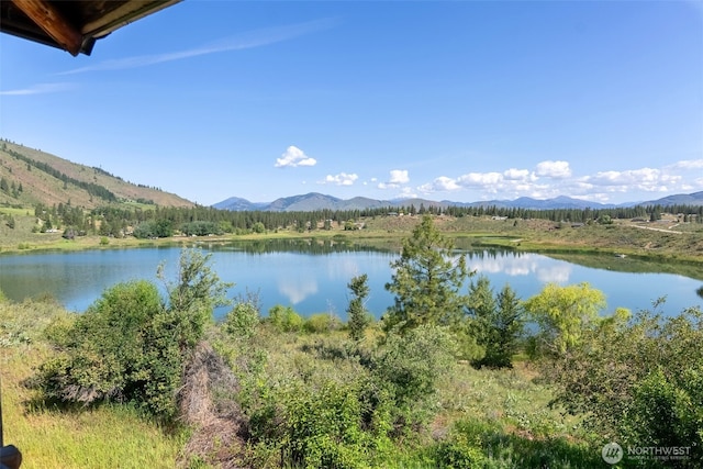 132 Twin Lakes Rd, Winthrop, WA 98862 - water view with a mountain backdrop