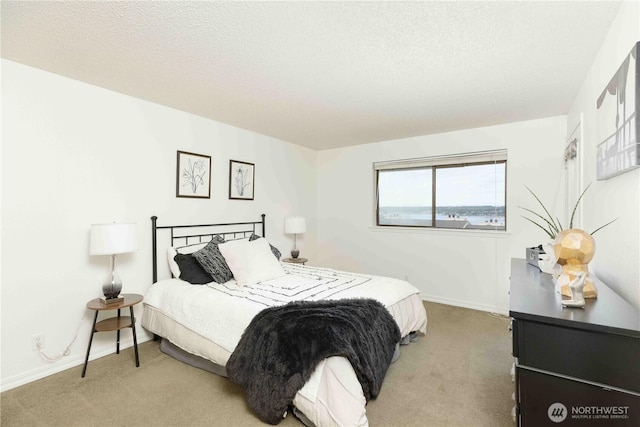 1755 W Sunn Fjord Ln Unit D65, Bremerton, WA 98312 - bedroom with light carpet, baseboards, and a textured ceiling