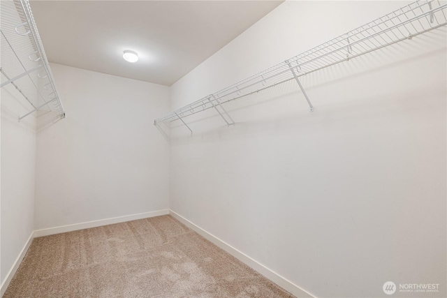27677 256th Pl SE, Maple Valley, WA 98038 - walk in closet with carpet