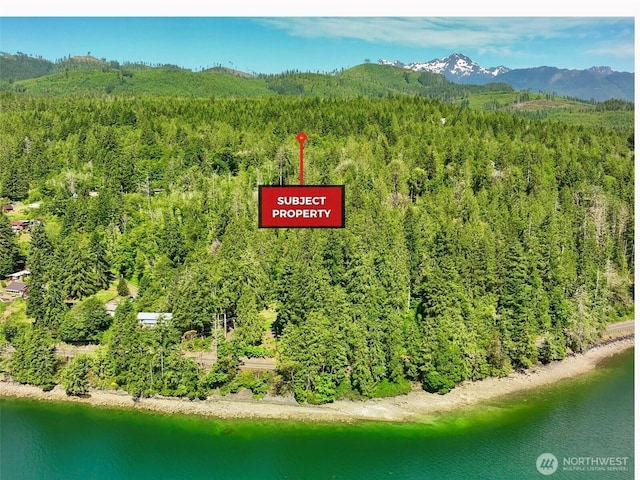 250 N Arnolds Way, Hoodsport, WA 98548 - photo 2