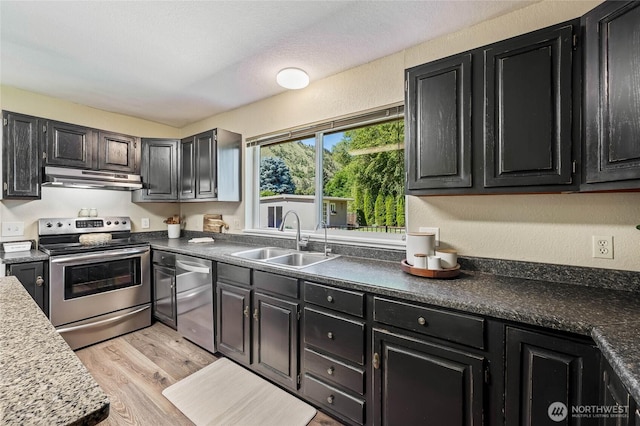 5110 Regan Rd, Cashmere, WA 98815 - kitchen featuring appliances with stainless steel finishes, a sink, under cabinet range hood, dark cabinets, and light wood finished floors