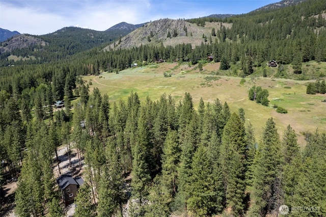 78 Homestead Rd, Winthrop, WA 98862 - photo 4