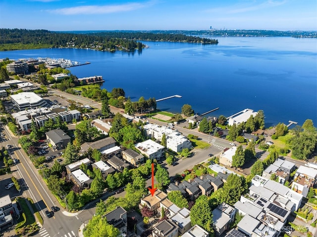 6201 101st Ct NE, Kirkland, WA 98033 - aerial view of residential area with a large body of water
