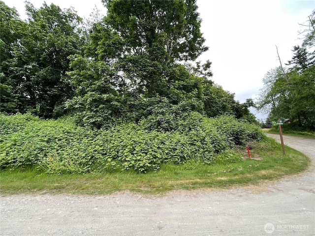 74M Skagit Way, Hat Island, WA 98206