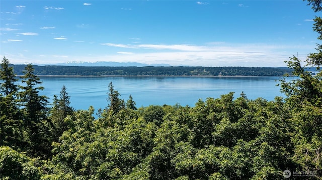 74M Skagit Way, Hat Island, WA 98206
