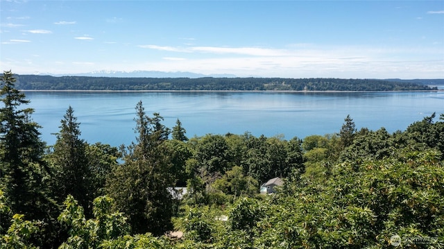74M Skagit Way, Hat Island, WA 98206