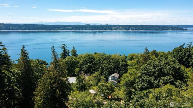 74M Skagit Way, Hat Island, WA 98206