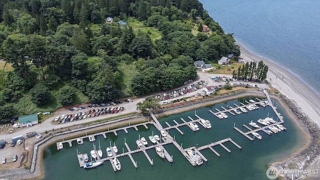 74M Skagit Way, Hat Island, WA 98206
