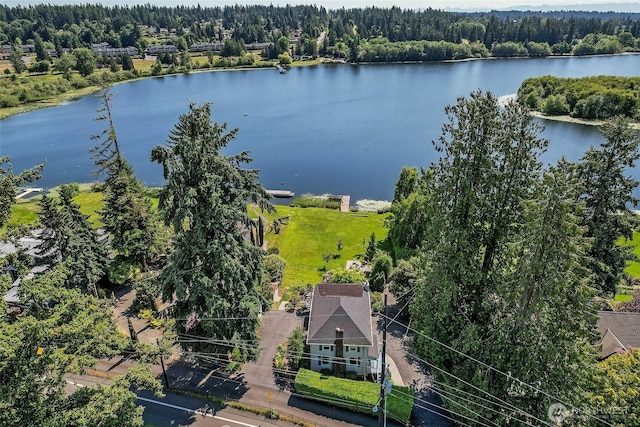 23619 74th Ave W, Edmonds, WA 98026 - aerial view of a forest and a nearby body of water