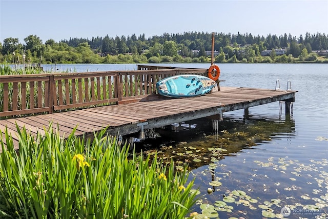 23619 74th Ave W, Edmonds, WA 98026 - dock area featuring a water view and a forest view