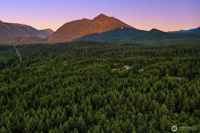 15910 Uplands Way SE, North Bend, WA 98045 - view of mountain backdrop with a forest