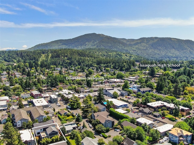 125 1st Ave NW, Issaquah, WA 98027 - photo 25
