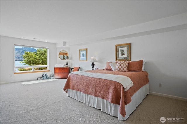 127 Bella Ln, Manson, WA 98831 - bedroom with carpet floors and baseboards
