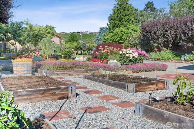 127 Bella Ln, Manson, WA 98831 - view of yard with a vegetable garden