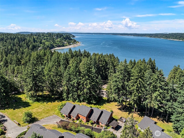 12822 62nd Ave NW Unit D3, Gig Harbor, WA 98332 - aerial view of a nearby body of water and a heavily wooded area