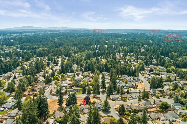 2406 134th Pl SE, Mill Creek, WA 98012 - photo 33