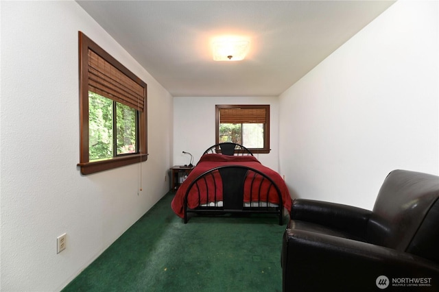 19304 8th Ave NW, Arlington, WA 98223 - photo 16