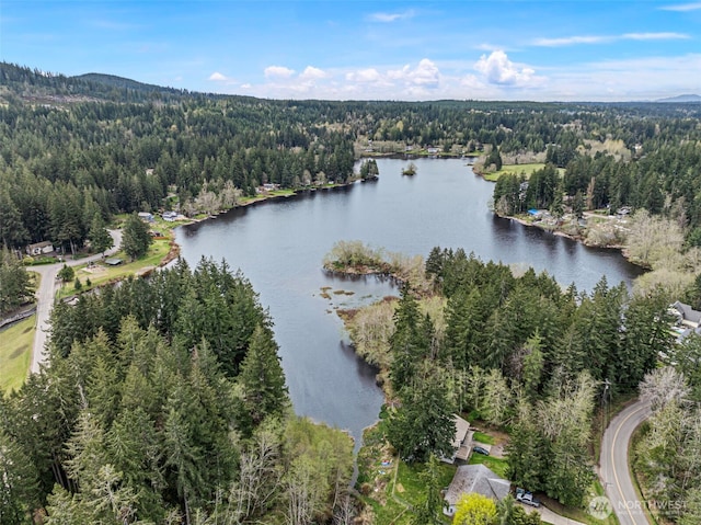 4119 Big Beef Xing NW, Bremerton, WA 98312 - view of property location with a heavily wooded area and a large body of water