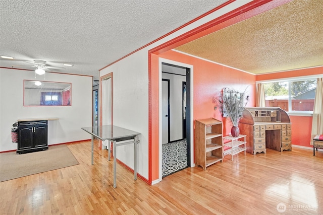 6965E E E, Tacoma, WA 98404 - kitchen with wood finished floors, a textured ceiling, ornamental molding, a ceiling fan, and baseboards