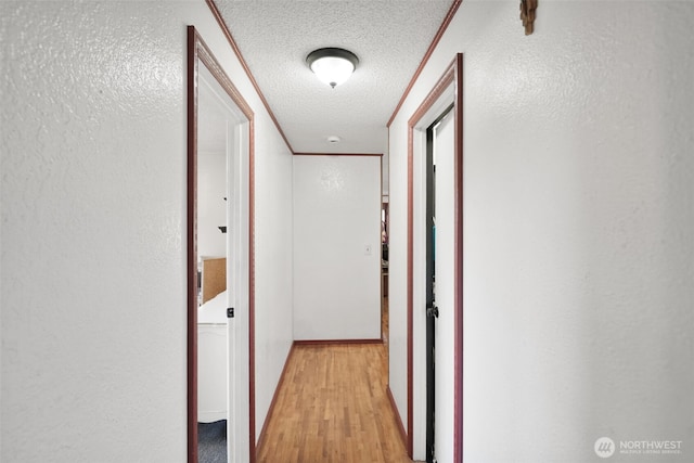 6965E E E, Tacoma, WA 98404 - hall featuring a textured ceiling, light wood-style floors, and a textured wall