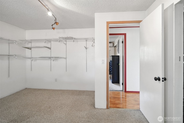 6965E E E, Tacoma, WA 98404 - spacious closet with carpet