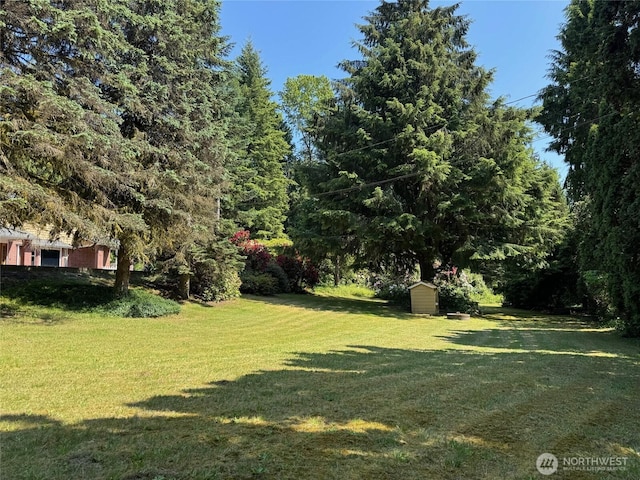 26025 Tronson Rd, Arlington, WA 98223 - view of grassy yard