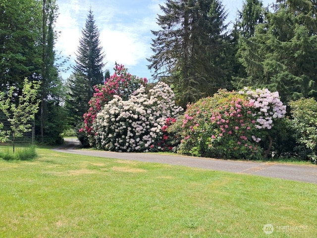 26025 Tronson Rd, Arlington, WA 98223 - view of grassy yard