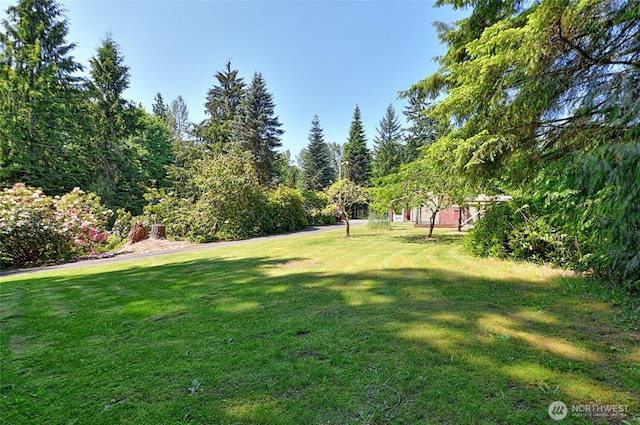 26025 Tronson Rd, Arlington, WA 98223 - view of green lawn
