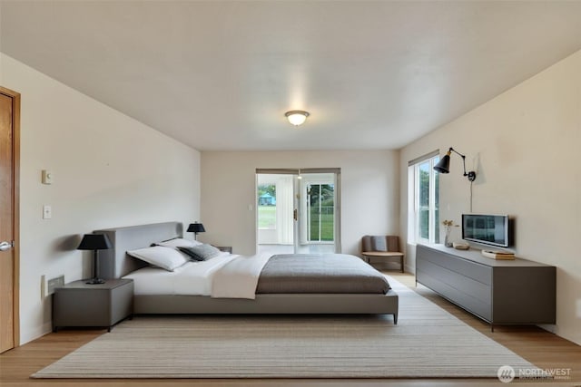 546 Canal Dr NE, Ocean Shores, WA 98569 - bedroom with light wood finished floors and multiple windows