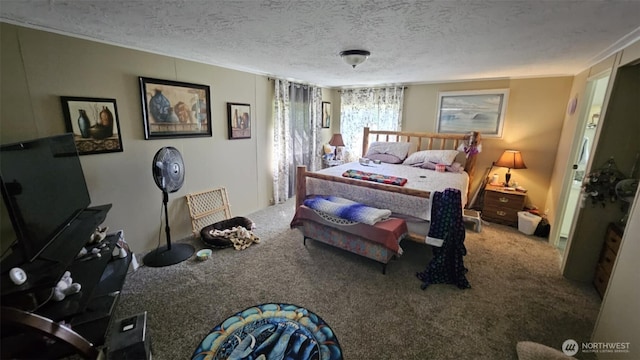 350 Streeter Rd, Silverlake, WA 98645 - photo 16