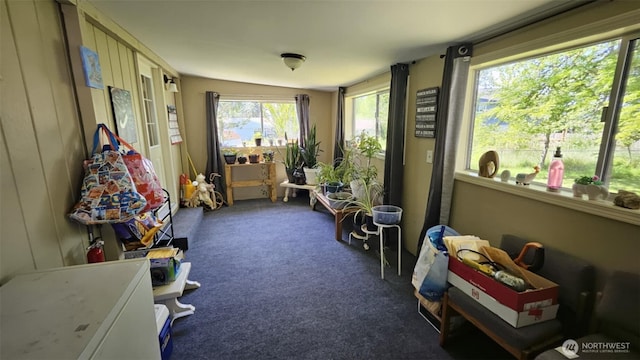 350 Streeter Rd, Silverlake, WA 98645 - photo 25