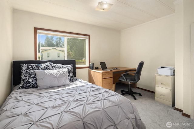 2607 178th St NW, Arlington, WA 98223 - photo 19